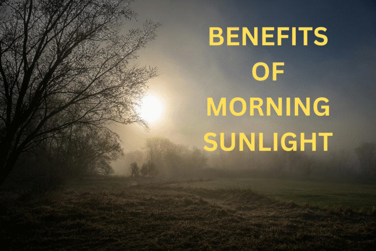 Benefits of morning Sunlight